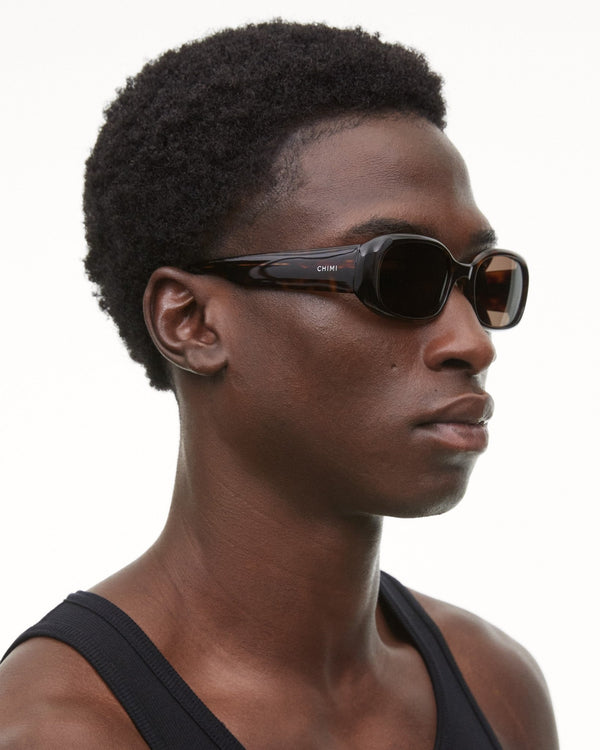 LAX / Tortoise & Brown Lens - Shade Files